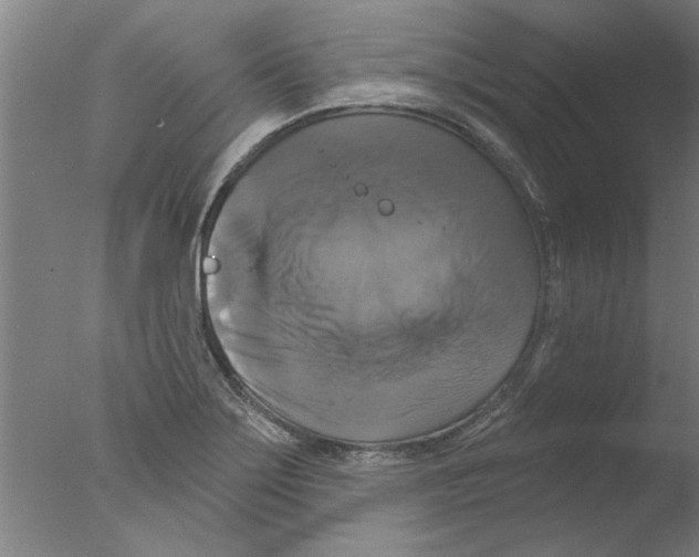 X0000076081275200610202031