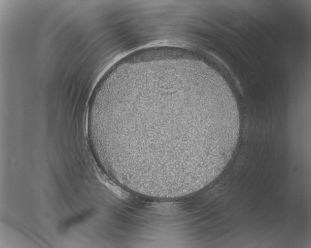 X0000076081276200610202031