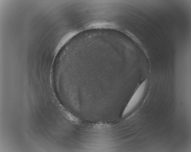 X0000076081277200610202031