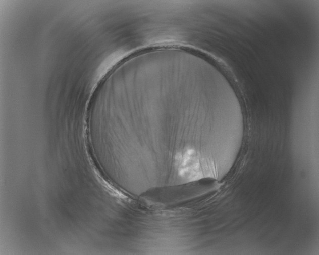 X0000076081279200610202031