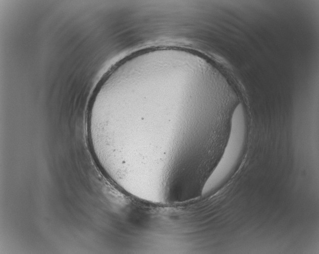 X0000076081280200610202031