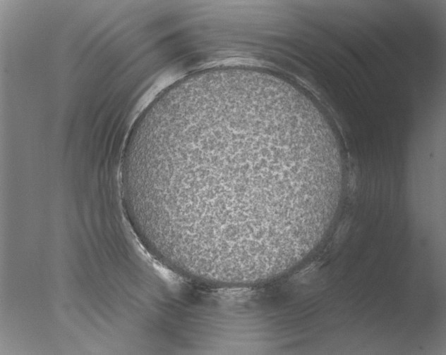 X0000076081282200610202031