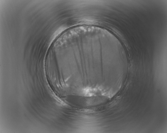 X0000076081283200610202031