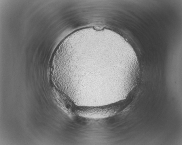 X0000076081284200610202030