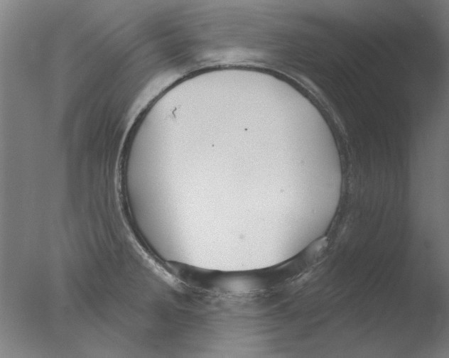 X0000076081285200610202030