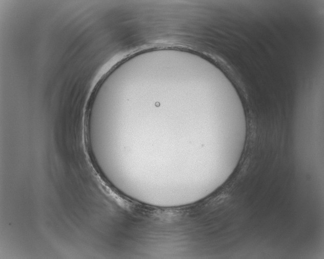 X0000076081286200610202030