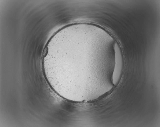 X0000076081288200610202030