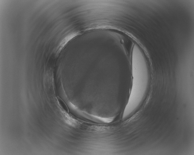 X0000076081289200610202030