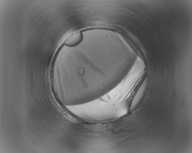 X0000076081291200610202030