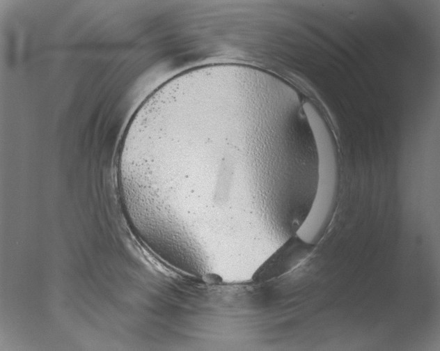 X0000076081292200610202030