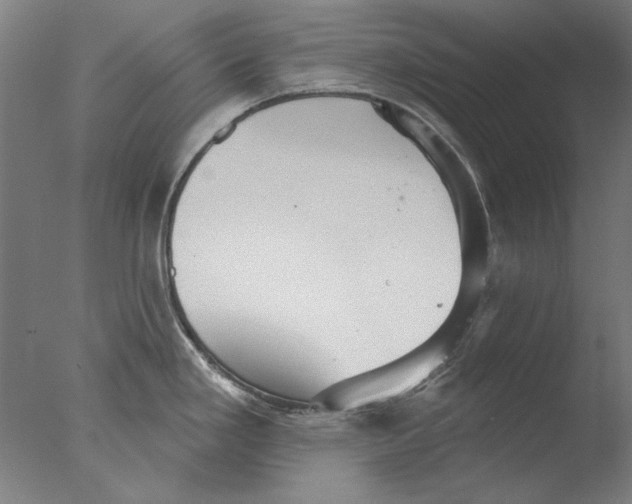 X0000076081293200610202030