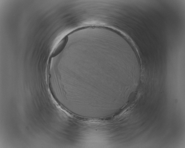 X0000076081295200610202030