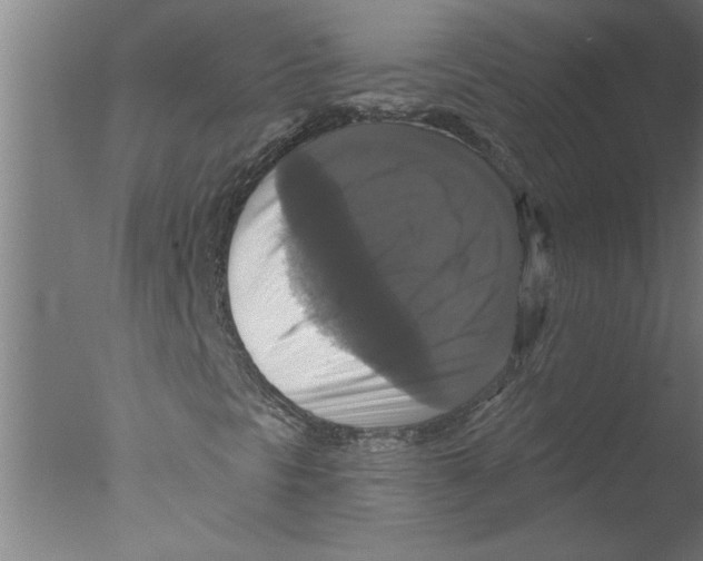 X0000076081297200610202029