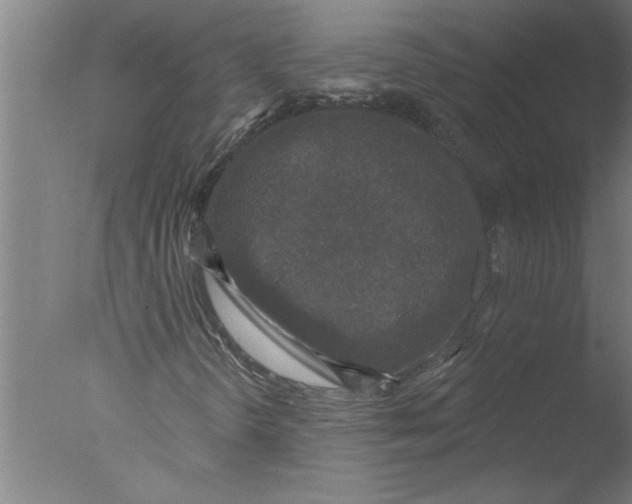 X0000076081298200610202029