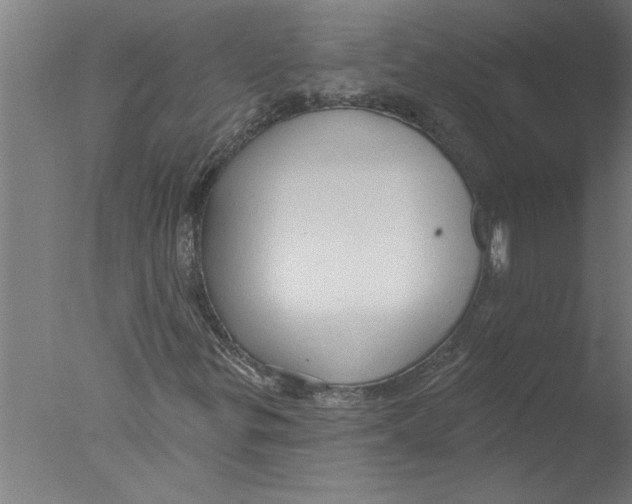 X0000076081299200610202030