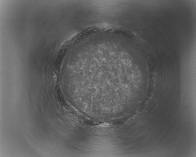 X0000076081302200610202030