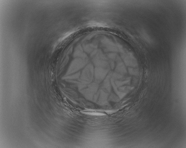 X0000076081303200610202030