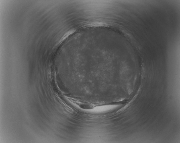 X0000076081305200610202030