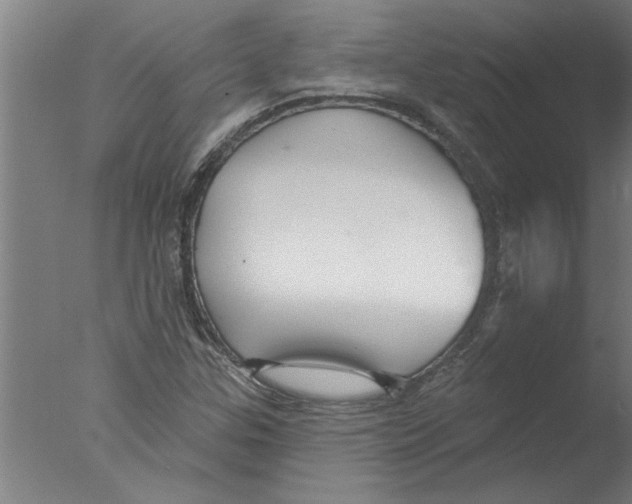 X0000076081307200610202030