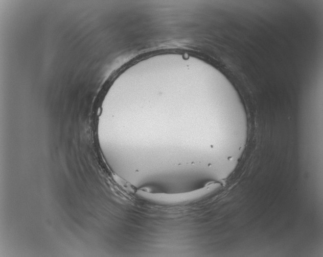 X0000076081308200610202030