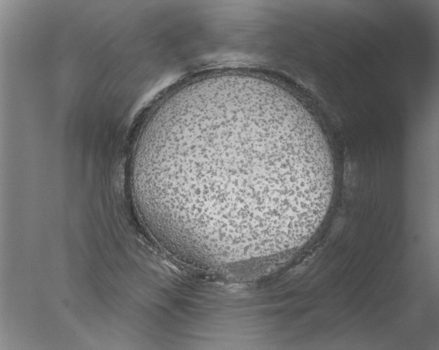 X0000076081309200610202030