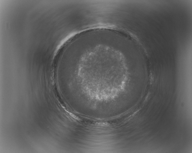 X0000076081310200610202030