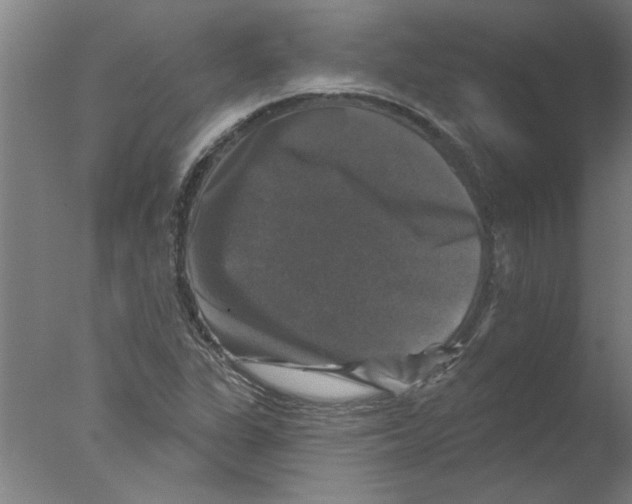 X0000076081311200610202030