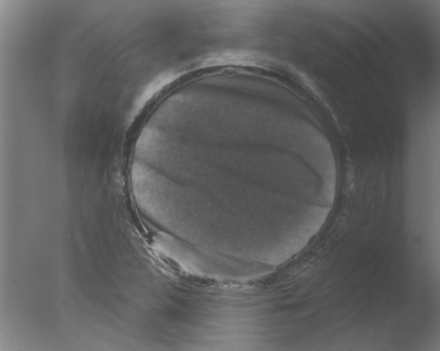 X0000076081312200610202030