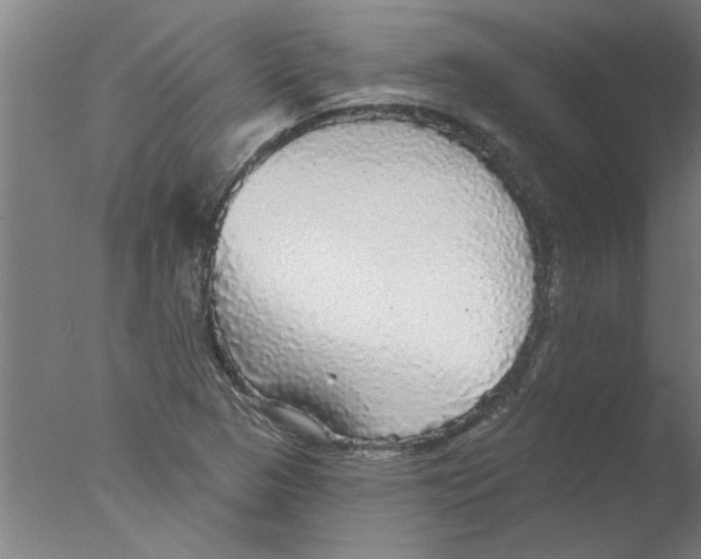 X0000076081313200610202030