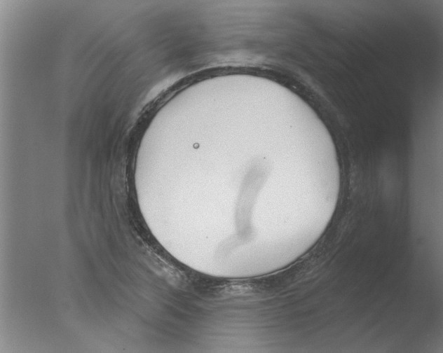 X0000076081315200610202030