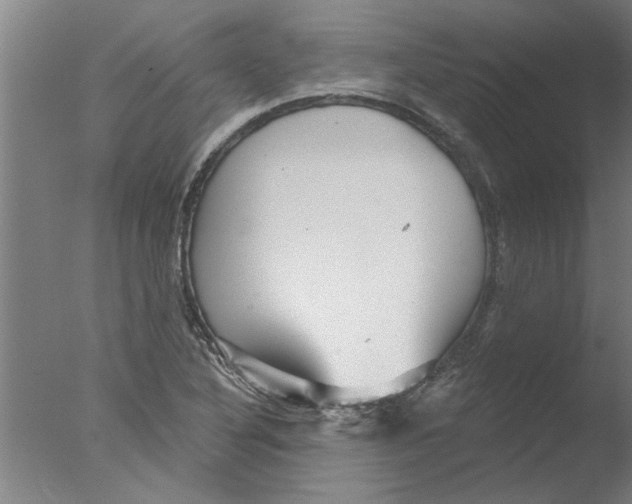 X0000076081316200610202030