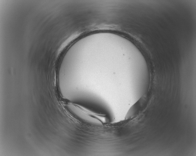 X0000076081317200610202030