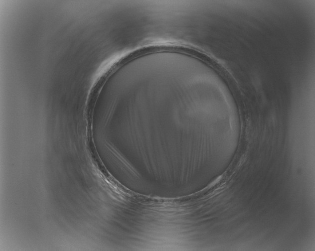 X0000076081319200610202030