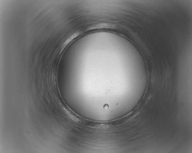 X0000076081321200610202030