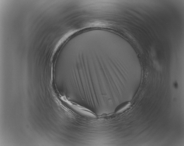 X0000076081323200610202030