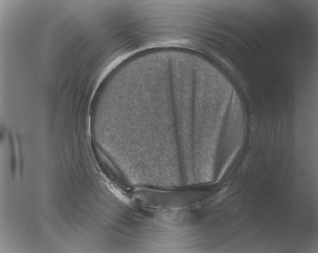 X0000076081324200610202030