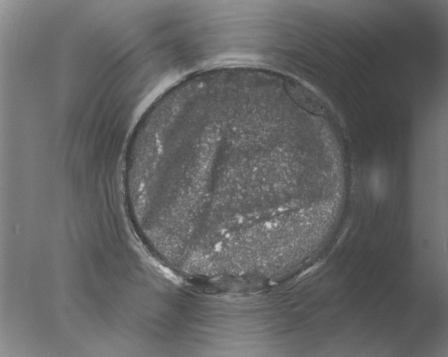 X0000076081325200610202030