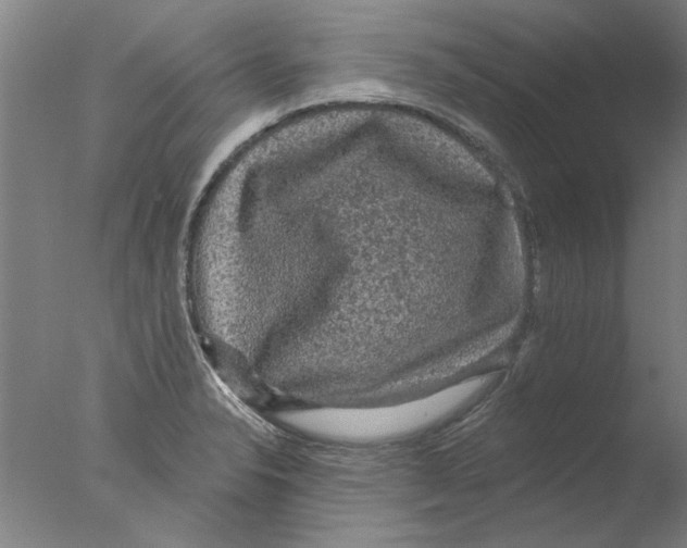 X0000076081326200610202030