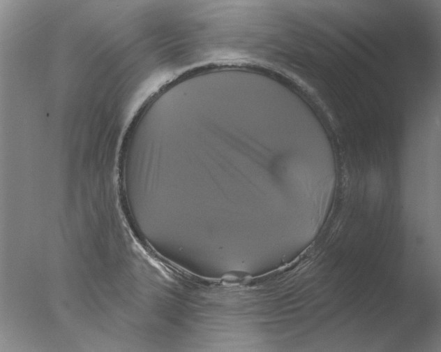 X0000076081327200610202030