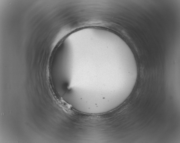 X0000076081328200610202030