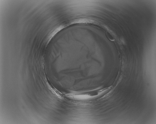 X0000076081329200610202030