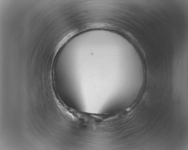 X0000076081330200610202030