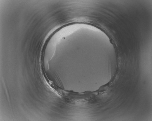 X0000076081331200610202030