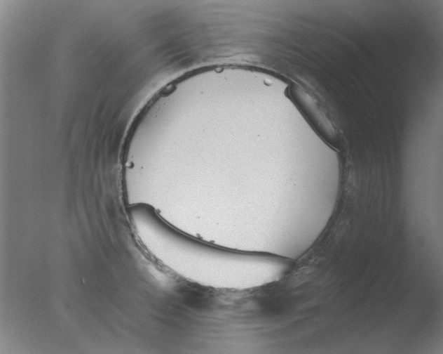 X0000076081332200610202030