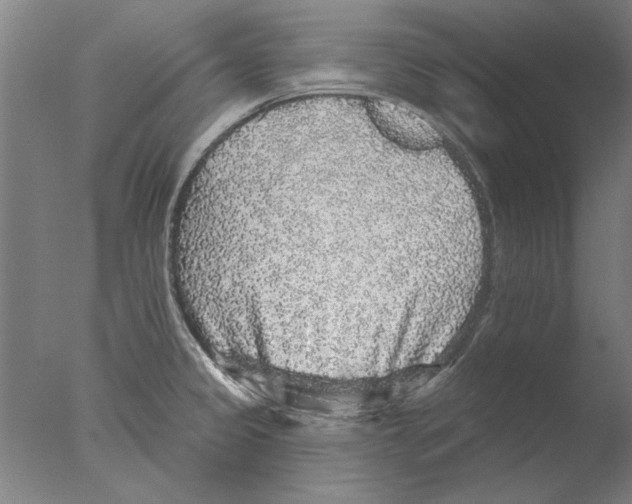 X0000076081333200610202030