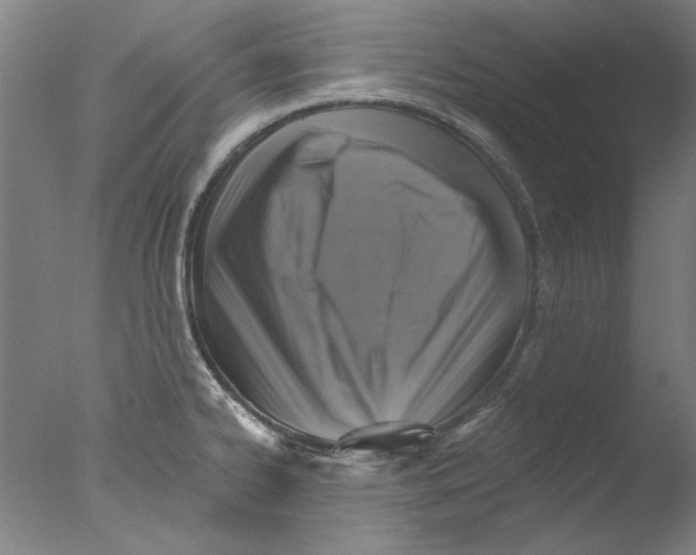 X0000076081334200610202030