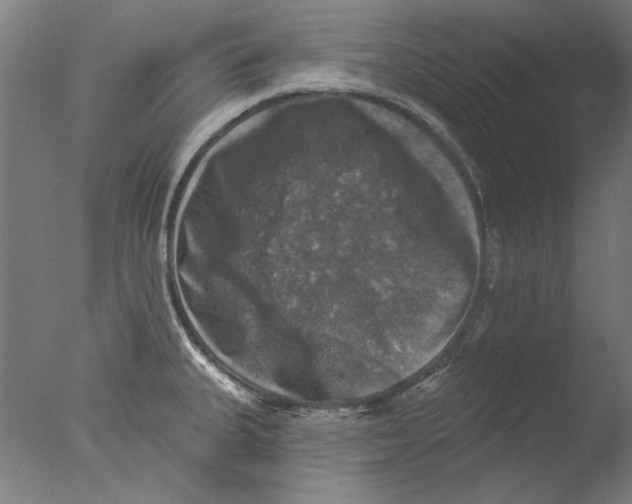 X0000076081335200610202030