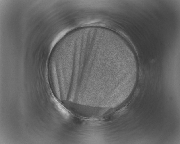 X0000076081336200610202030