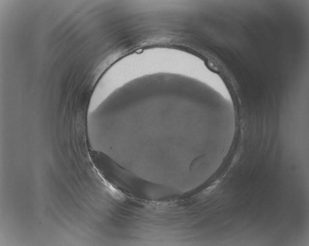 X0000076081337200610202030