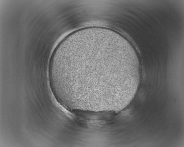 X0000076081339200610202030